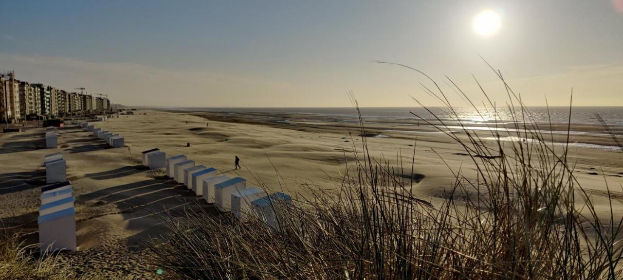 Le Zandkreek Plage & Centre - 2 Ch Koksijde Exterior foto